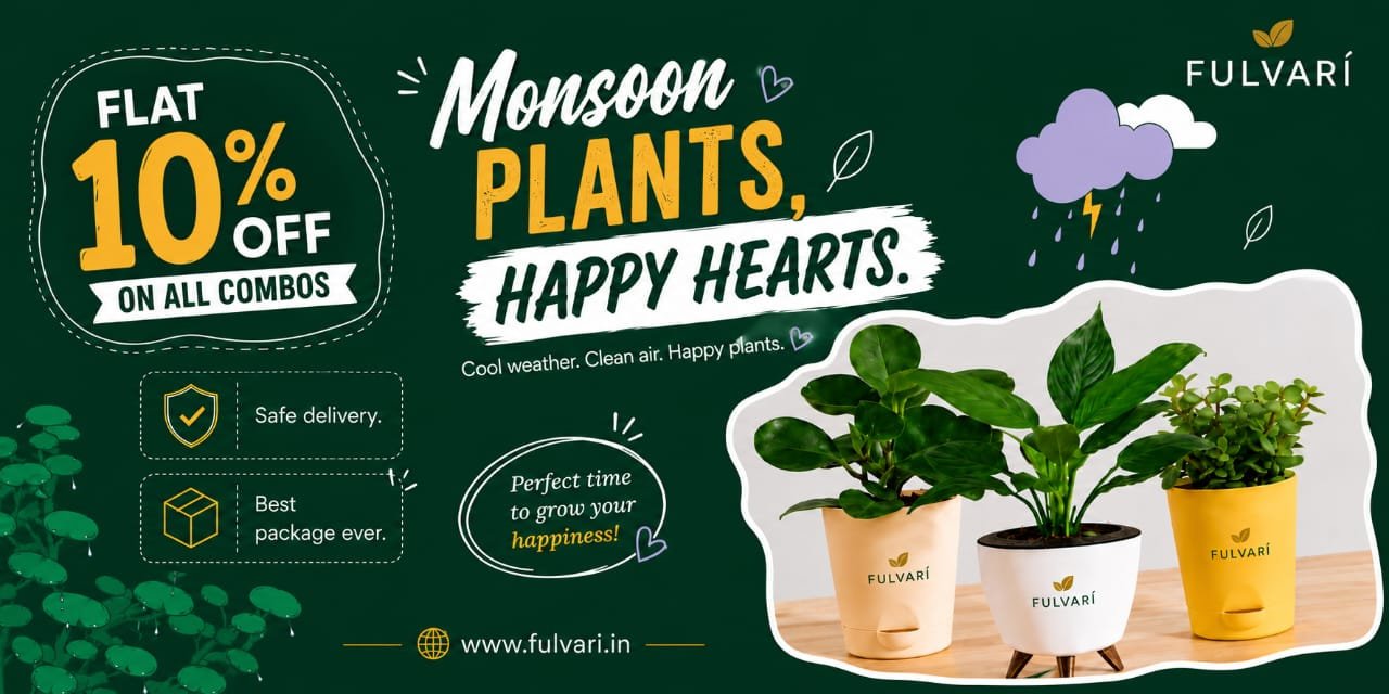 Monsoon Offers