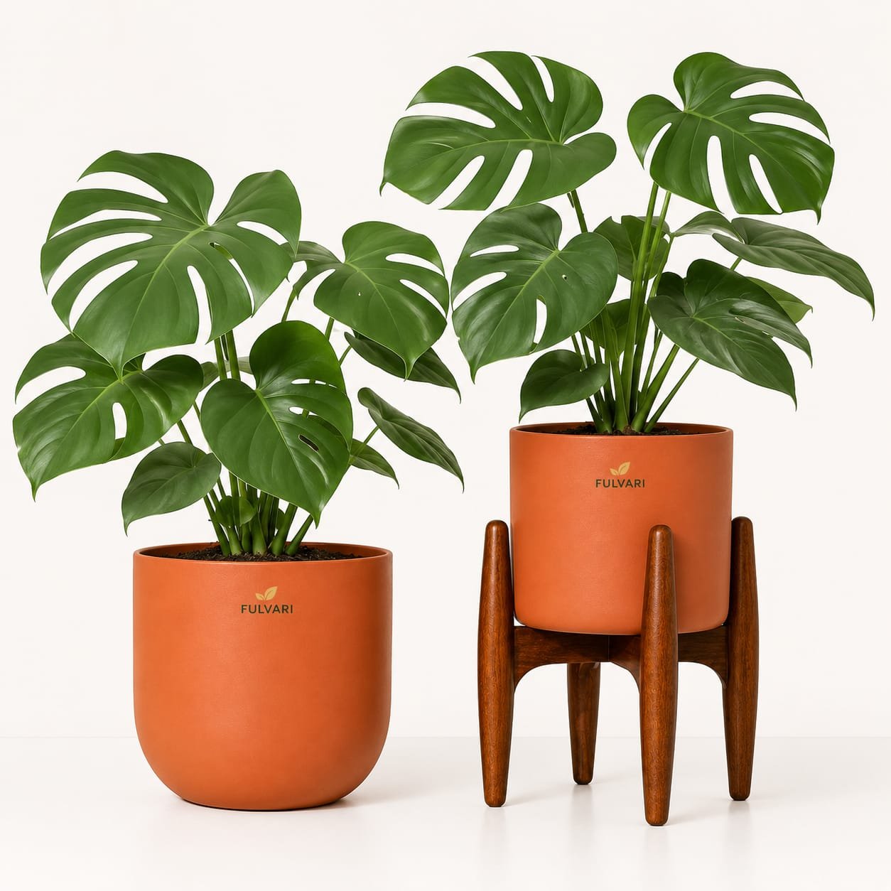 Modern wooden stand Planter- Set of 2 (L, XL & XXL Plants)