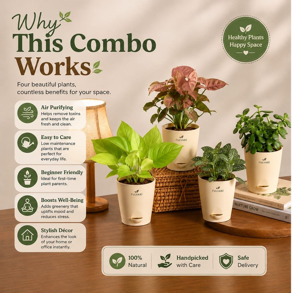 product/cFc56bRwmjun2eVsSn4EoC91sX8Nj4bAywgbzZM0.jpg