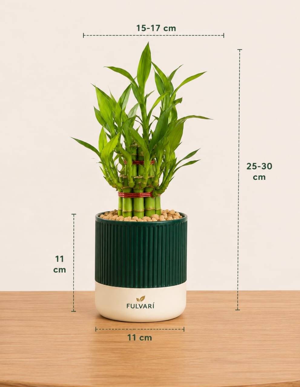 product/eLo6PeKrl68WTX1lf40zJdYDVHvVsszasCTeqOq4.jpg