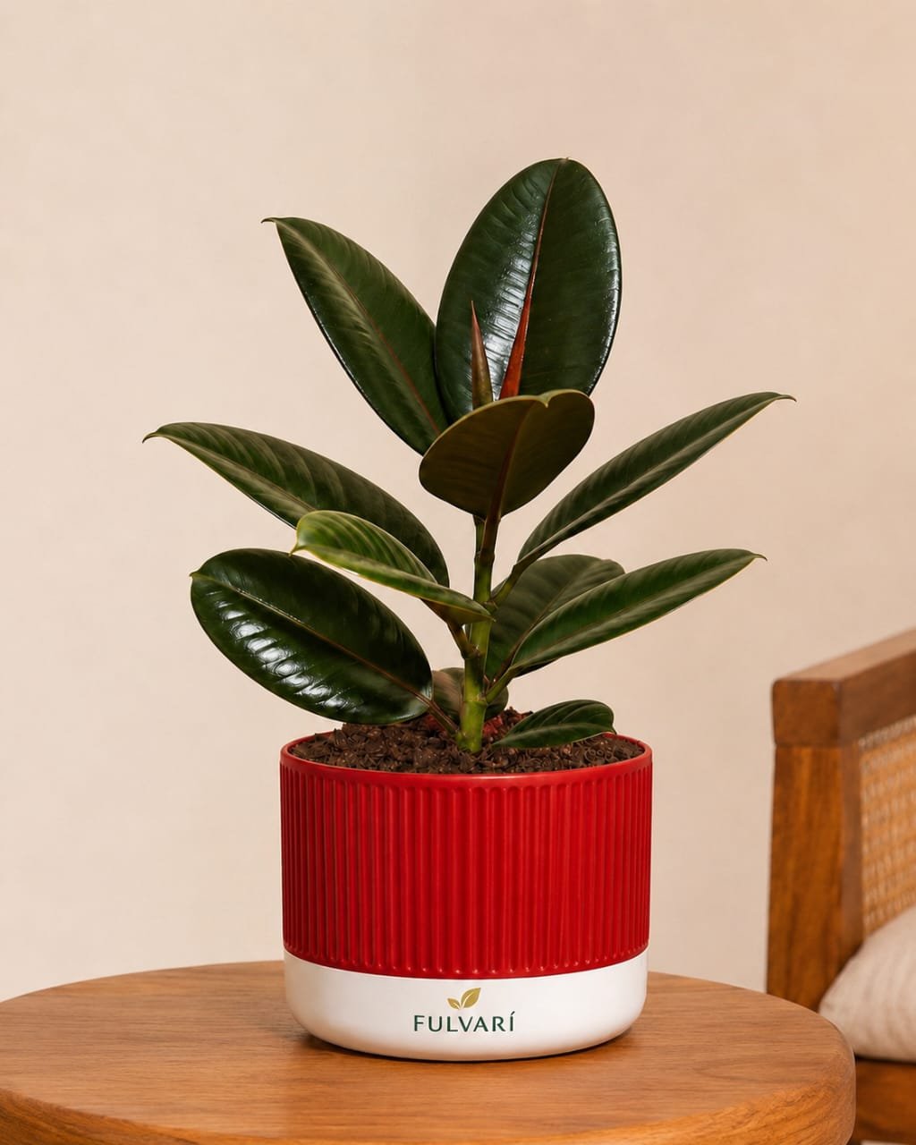 product/sovdkD78Qgy6XoEHcgwyYEPMyHiJbCNNfx6cupQ7.jpg